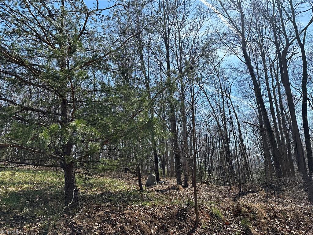 Tbd Ellis Lawson Road Danbury, NC 27016 - Photo 27 of 49 Gallery Image 27