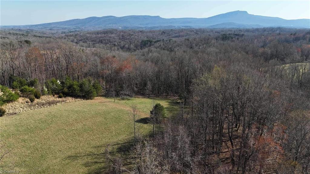 Tbd Ellis Lawson Road Danbury, NC 27016 - Photo 28 of 49 Gallery Image 28