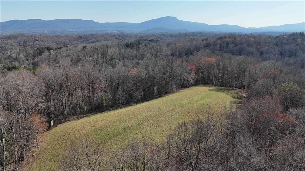 Tbd Ellis Lawson Road Danbury, NC 27016 - Photo 29 of 49 Gallery Image 29