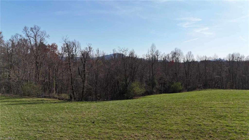 Tbd Ellis Lawson Road Danbury, NC 27016 - Photo 30 of 49 Gallery Image 30