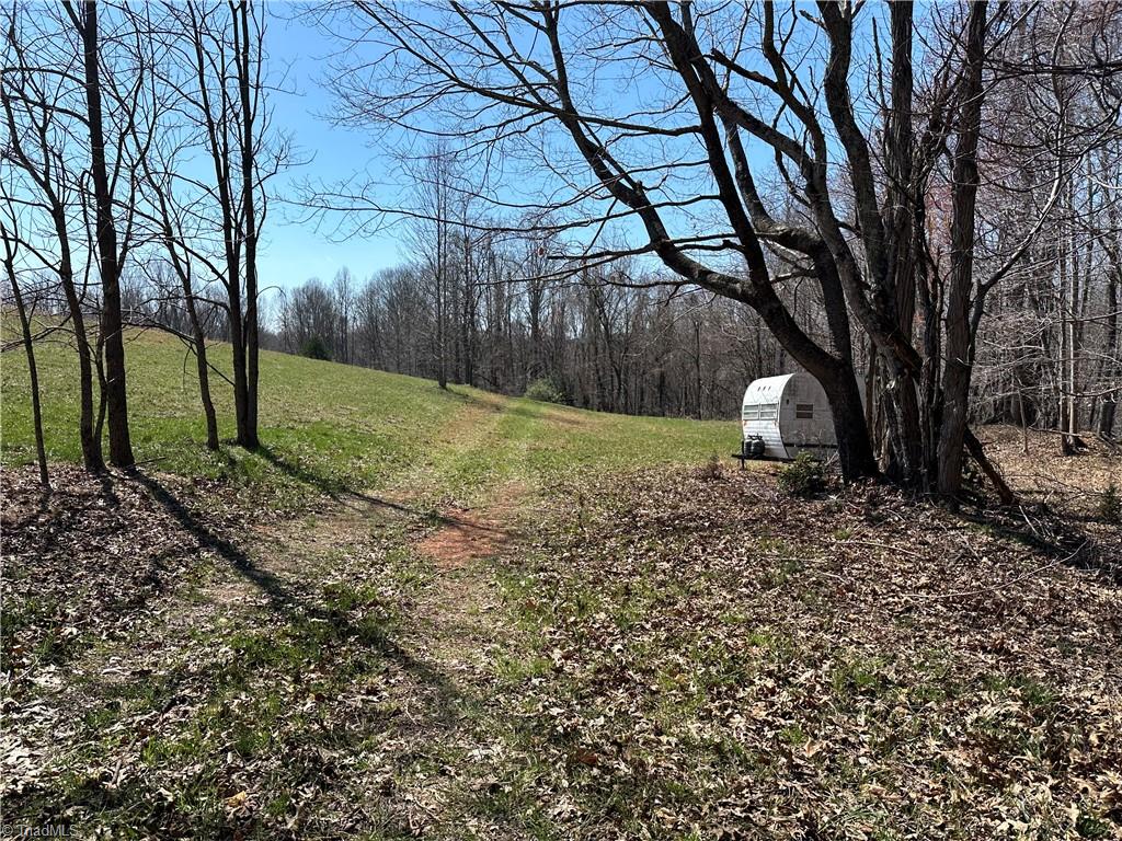 Tbd Ellis Lawson Road Danbury, NC 27016 - Photo 3 of 49 Gallery Image 3