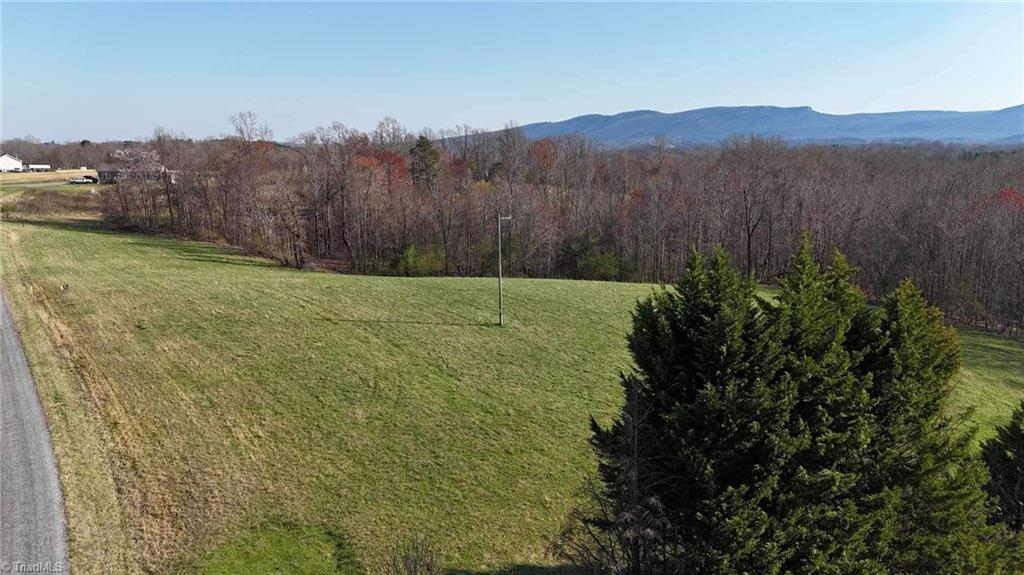 Tbd Ellis Lawson Road Danbury, NC 27016 - Photo 31 of 49 Gallery Image 31