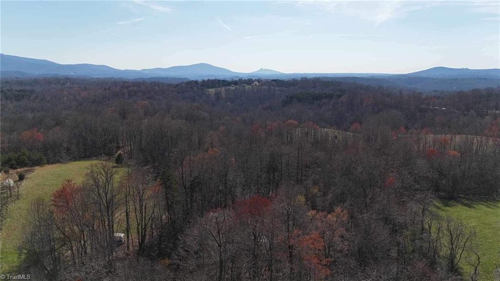 Tbd Ellis Lawson Road Danbury, NC 27016 - Photo 32 of 49 Gallery Image 32