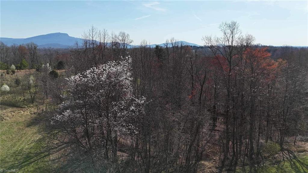 Tbd Ellis Lawson Road Danbury, NC 27016 - Photo 33 of 49 Gallery Image 33