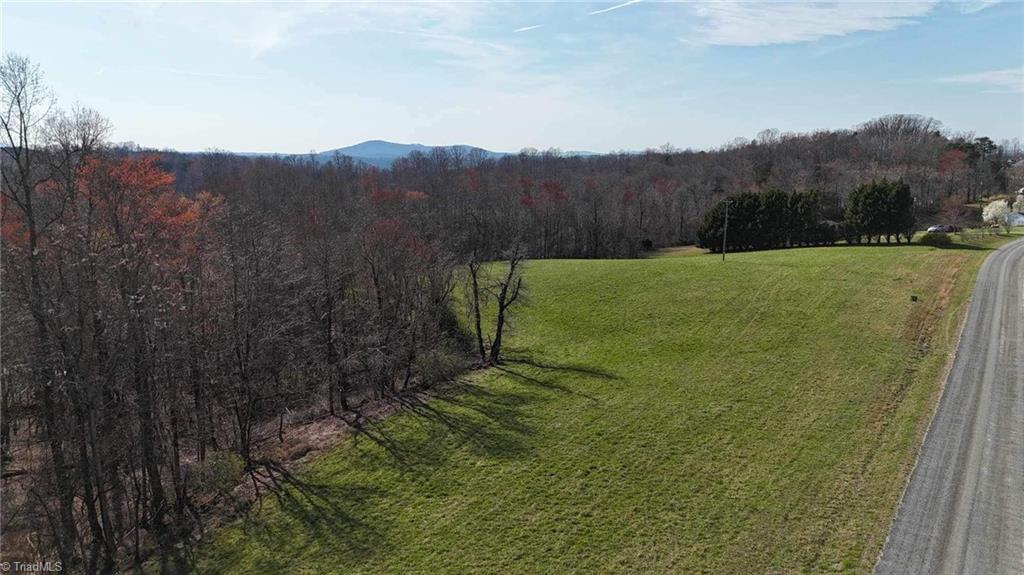 Tbd Ellis Lawson Road Danbury, NC 27016 - Photo 34 of 49 Gallery Image 34