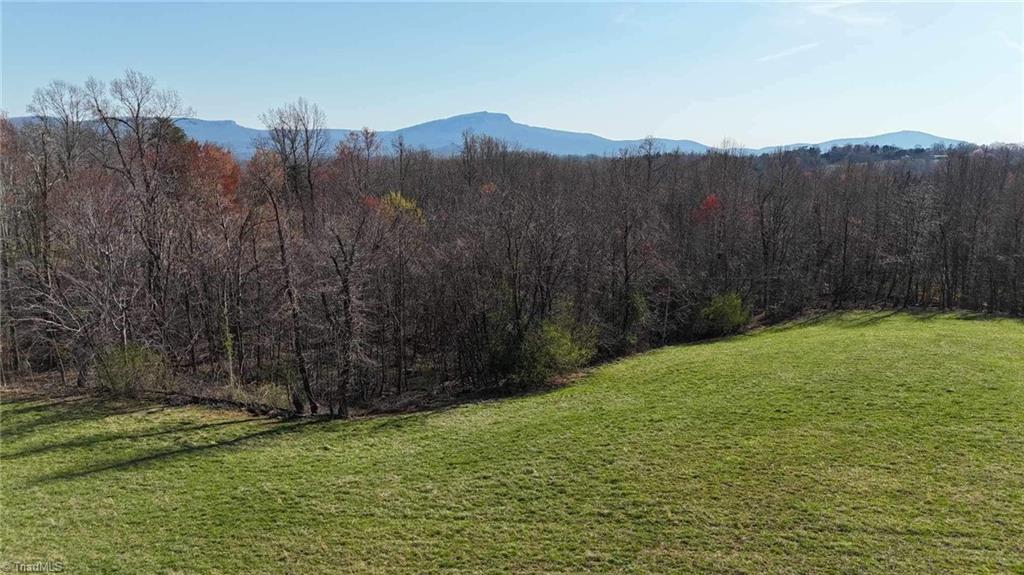 Tbd Ellis Lawson Road Danbury, NC 27016 - Photo 37 of 49 Gallery Image 37