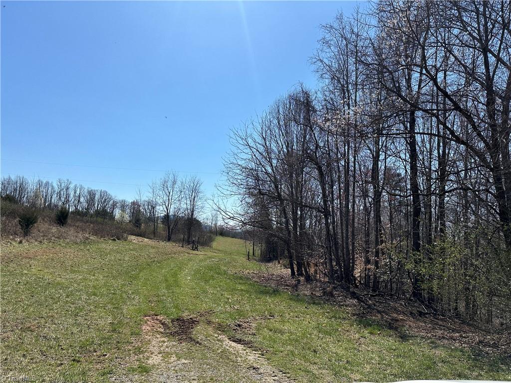 Tbd Ellis Lawson Road Danbury, NC 27016 - Photo 4 of 49 Gallery Image 4