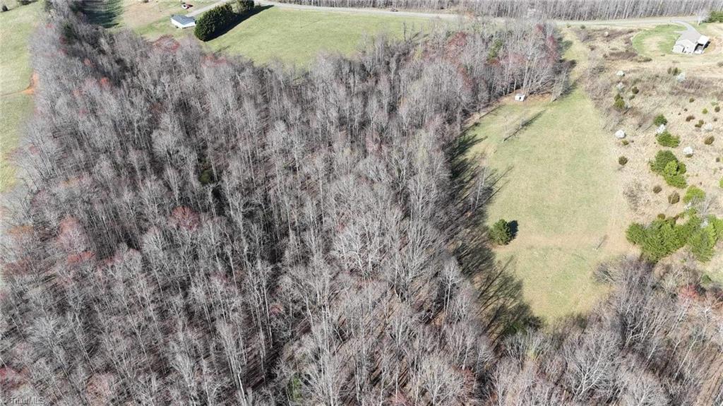 Tbd Ellis Lawson Road Danbury, NC 27016 - Photo 41 of 49 Gallery Image 41