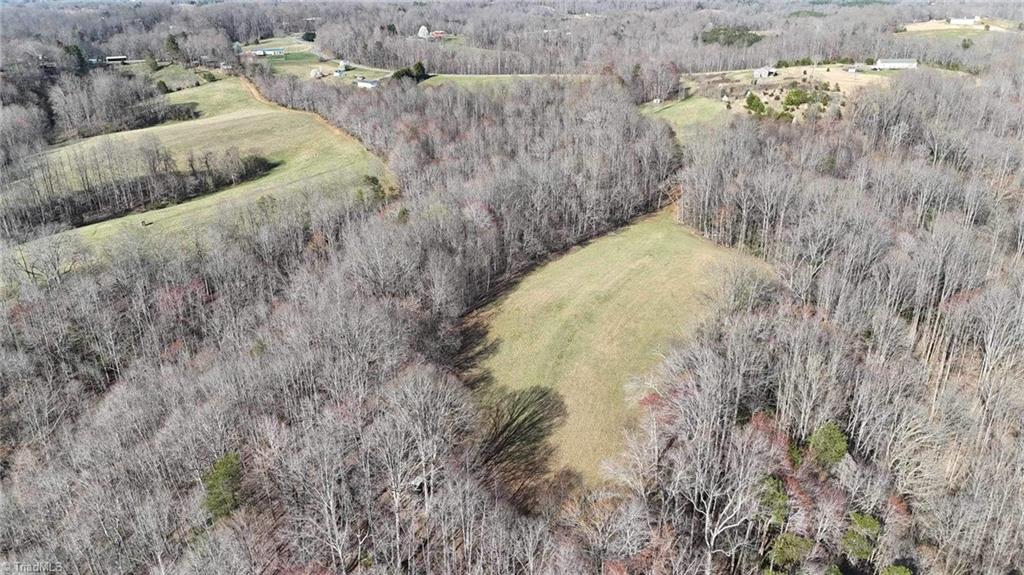 Tbd Ellis Lawson Road Danbury, NC 27016 - Photo 42 of 49 Gallery Image 42