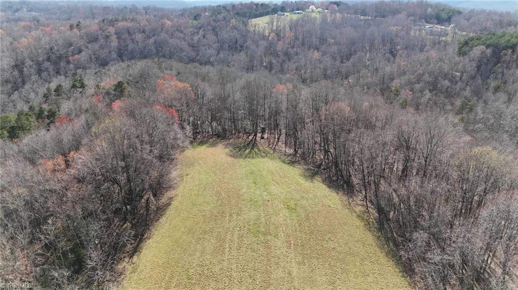 Tbd Ellis Lawson Road Danbury, NC 27016 - Photo 44 of 49 Gallery Image 44