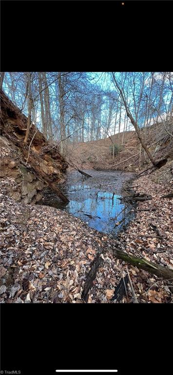 Tbd Ellis Lawson Road Danbury, NC 27016 - Photo 46 of 49 Gallery Image 46