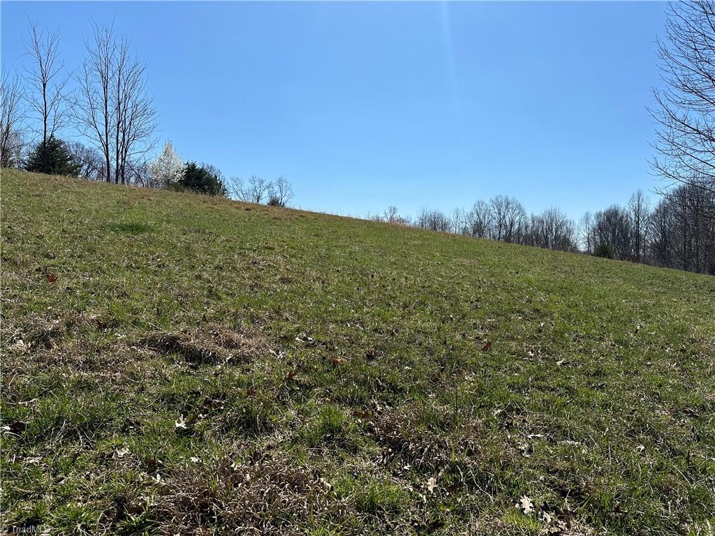 Tbd Ellis Lawson Road Danbury, NC 27016 - Photo 5 of 49 Gallery Image 5