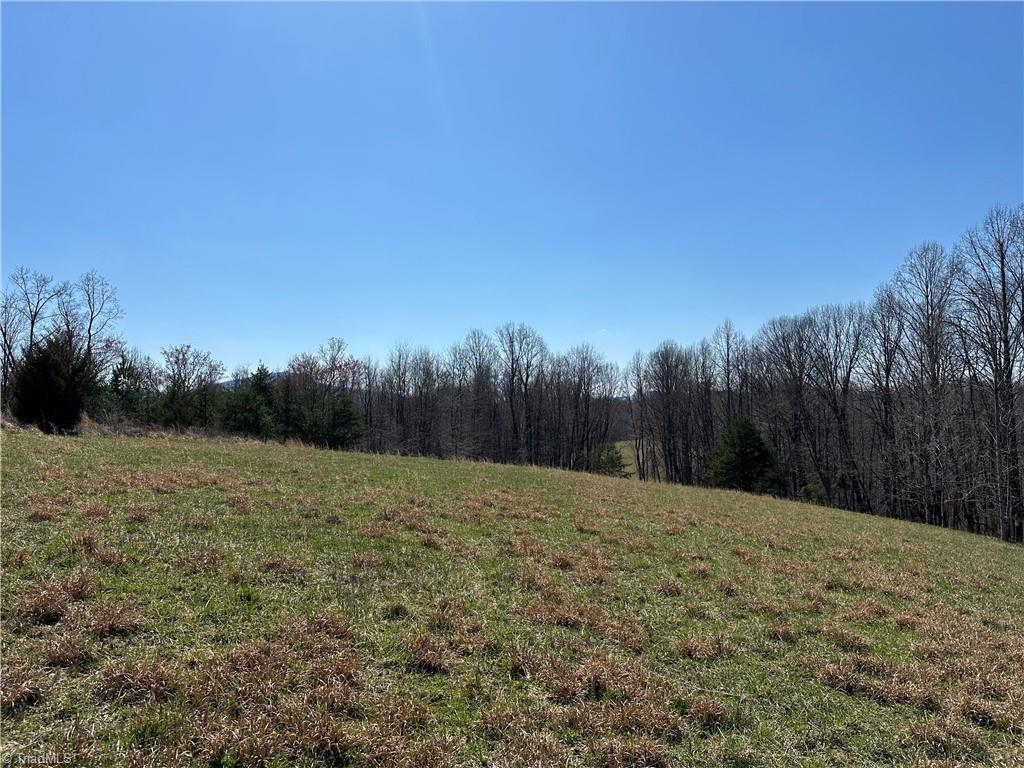 Tbd Ellis Lawson Road Danbury, NC 27016 - Photo 6 of 49 Gallery Image 6
