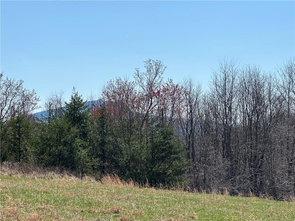 Tbd Ellis Lawson Road Danbury, NC 27016 - Photo 7 of 49 Gallery Image 7