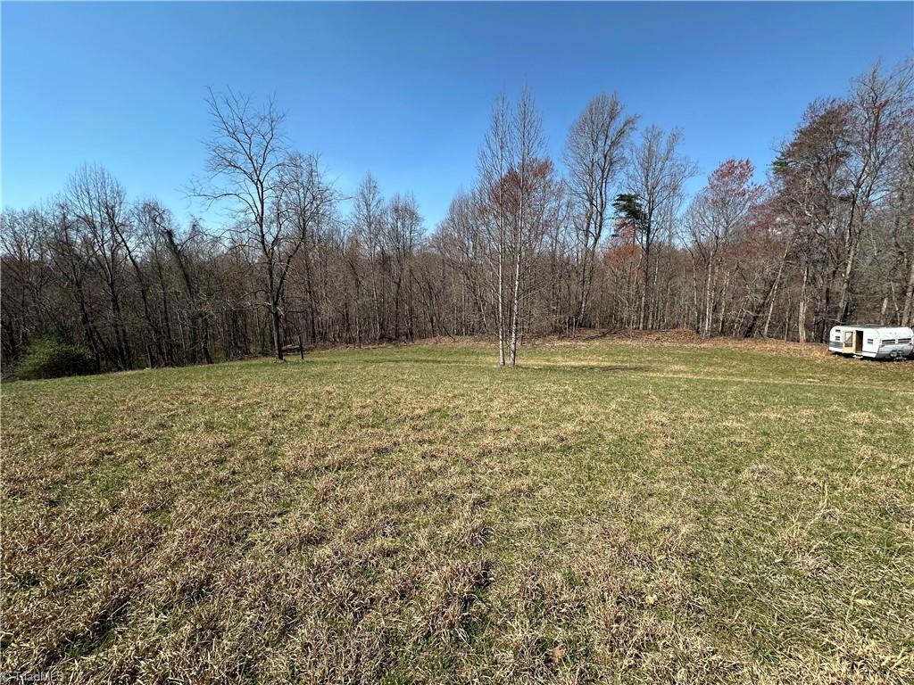 Tbd Ellis Lawson Road Danbury, NC 27016 - Photo 8 of 49 Gallery Image 8