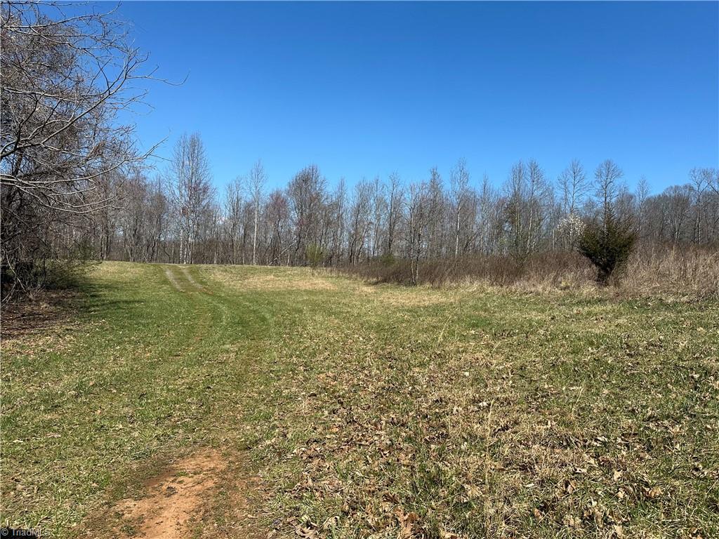 Tbd Ellis Lawson Road Danbury, NC 27016 - Photo 9 of 49 Gallery Image 9