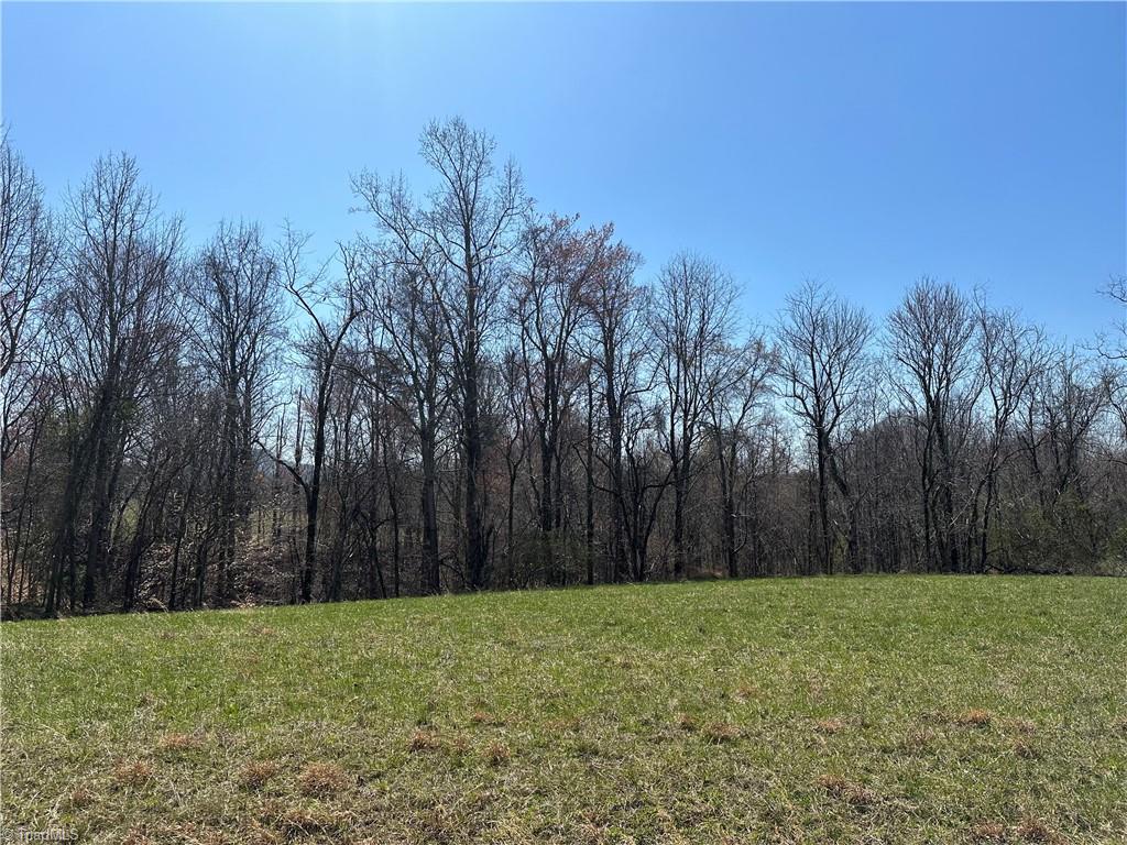 Tbd Ellis Lawson Road Danbury, NC 27016 - Photo 10 of 49 Gallery Image 10