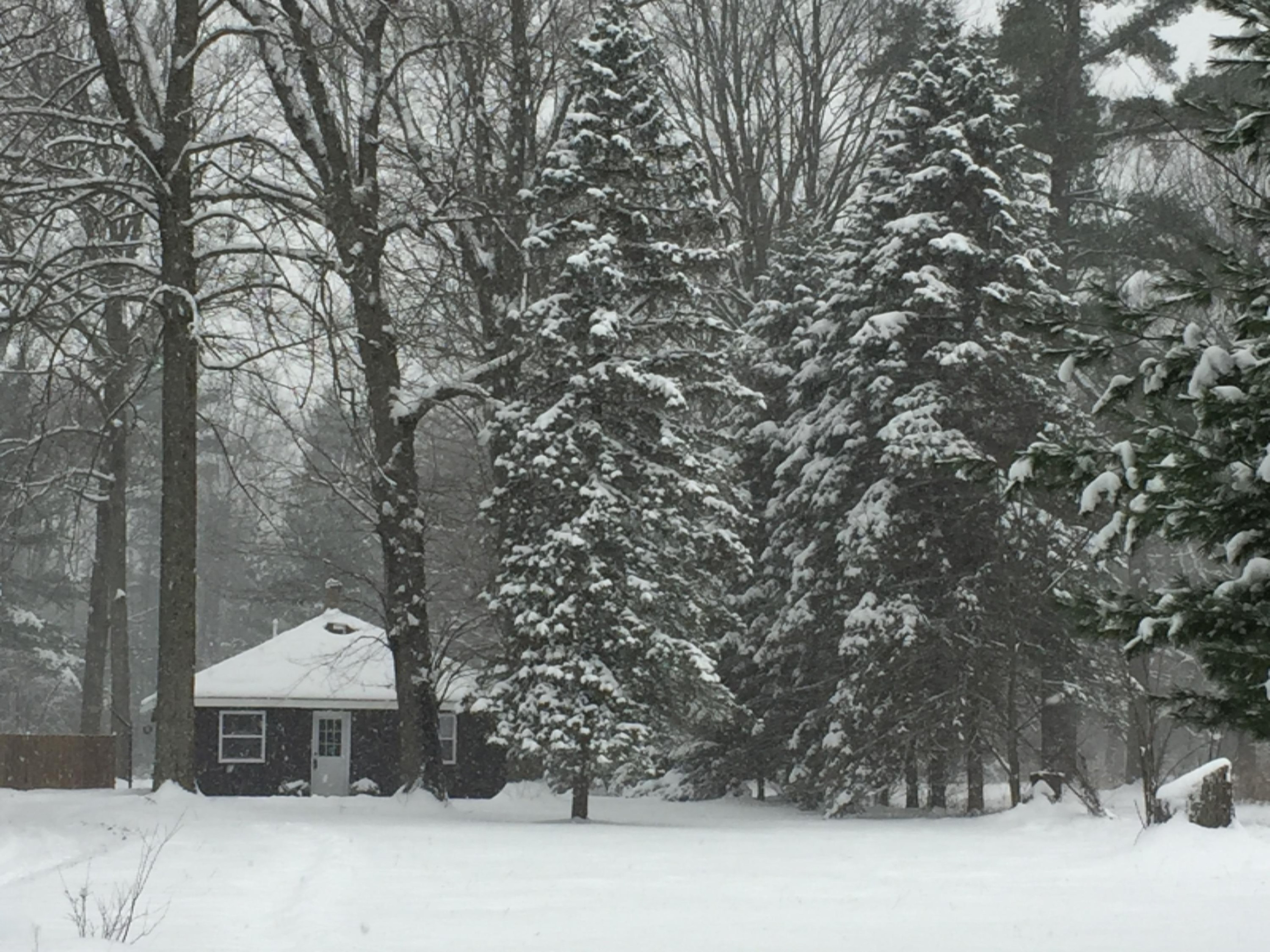 1603 Whitehall Road Muskegon, MI 49445 - Photo 1 of 47 winter