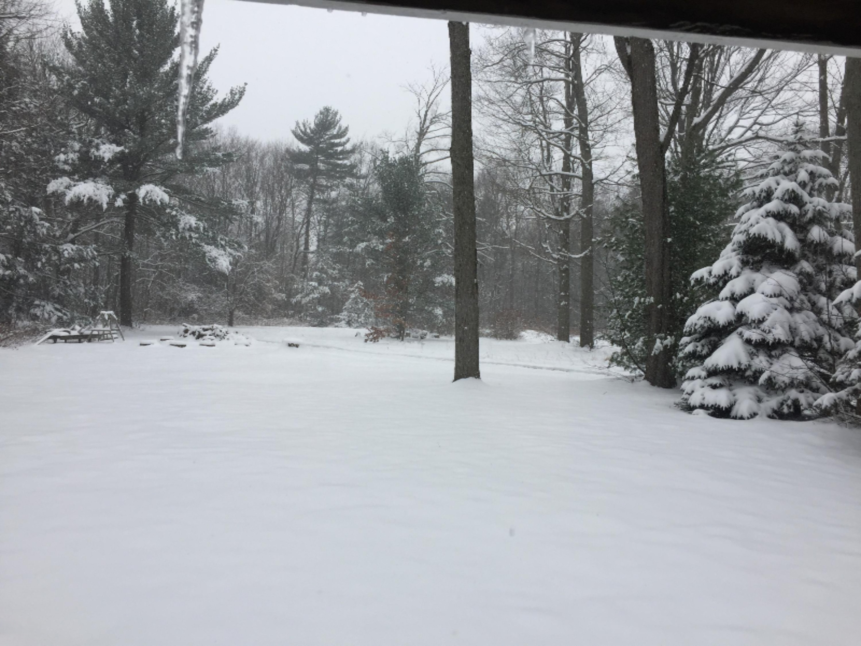 1603 Whitehall Road Muskegon, MI 49445 - Photo 2 of 47 winter 2