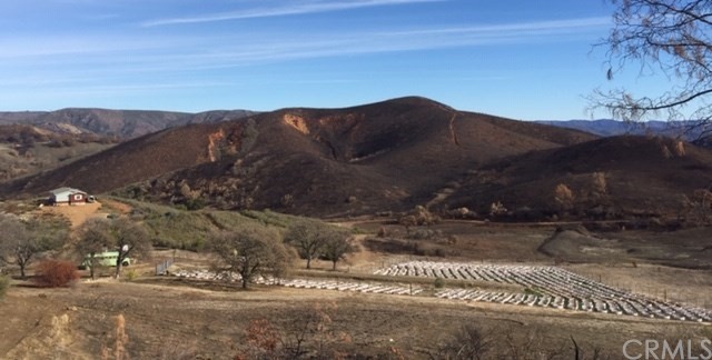 25432 Jerusalem Grde Lower Lake, CA 95457 - Photo 1 of 27 a view of a yard with mountain view