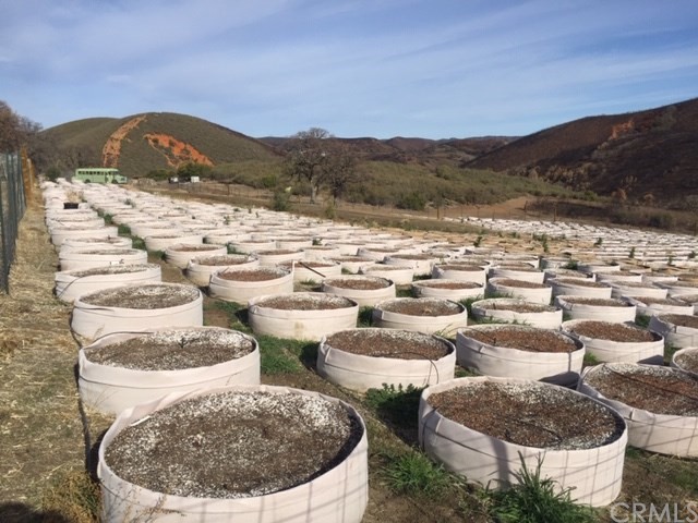 25432 Jerusalem Grde Lower Lake, CA 95457 - Photo 11 of 27 a view of a house with mountain view