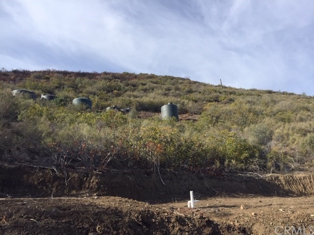 25432 Jerusalem Grde Lower Lake, CA 95457 - Photo 7 of 27 a view of a yard with mountain