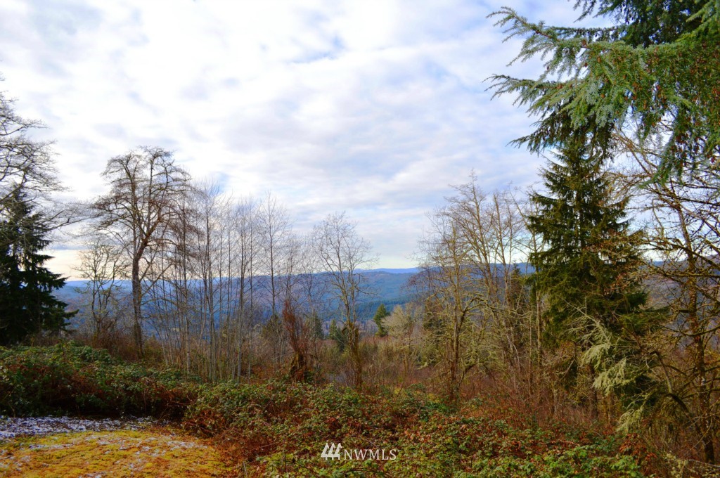 221 Wagner Road Kelso, WA 98626 - Photo 17 of 24 Gallery Image 17