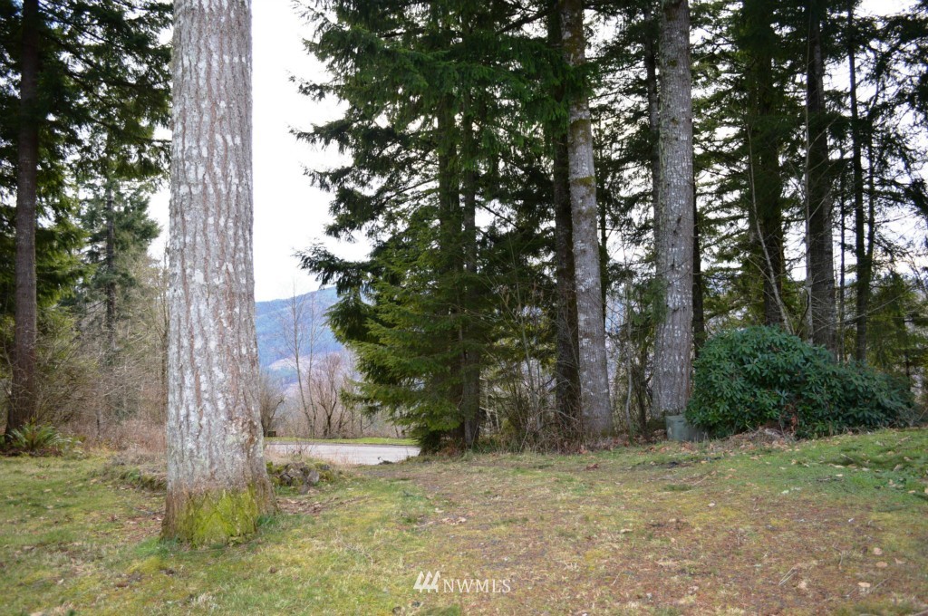 221 Wagner Road Kelso, WA 98626 - Photo 19 of 24 Gallery Image 19