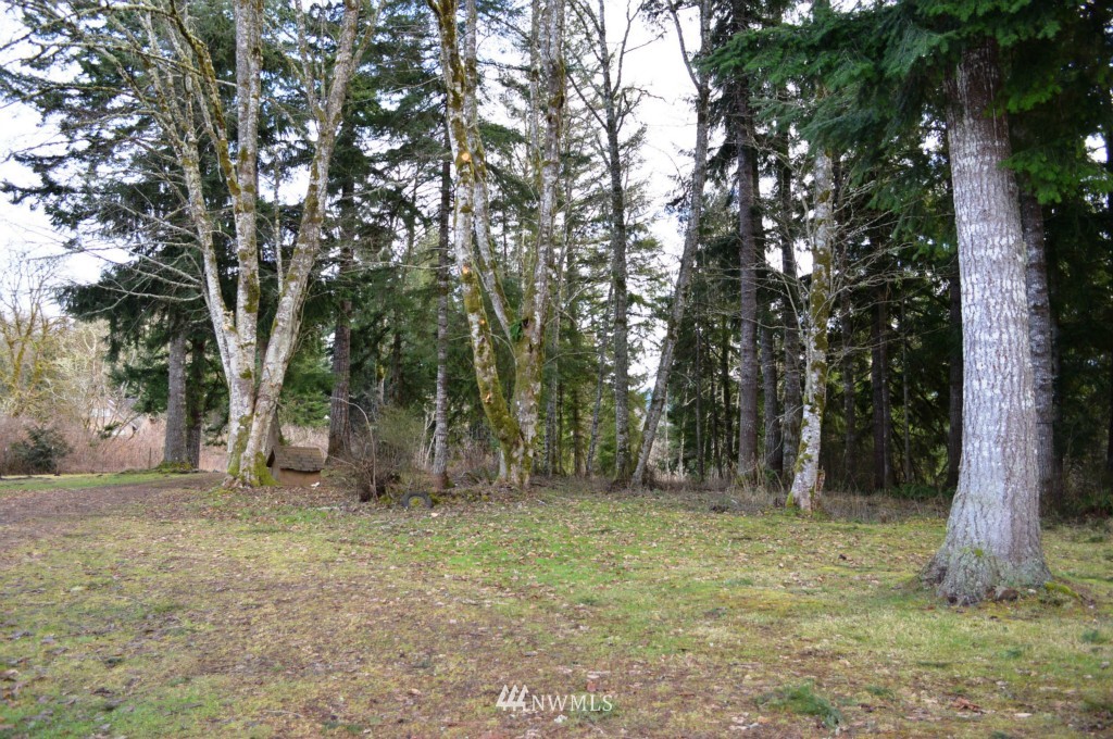 221 Wagner Road Kelso, WA 98626 - Photo 20 of 24 Gallery Image 20