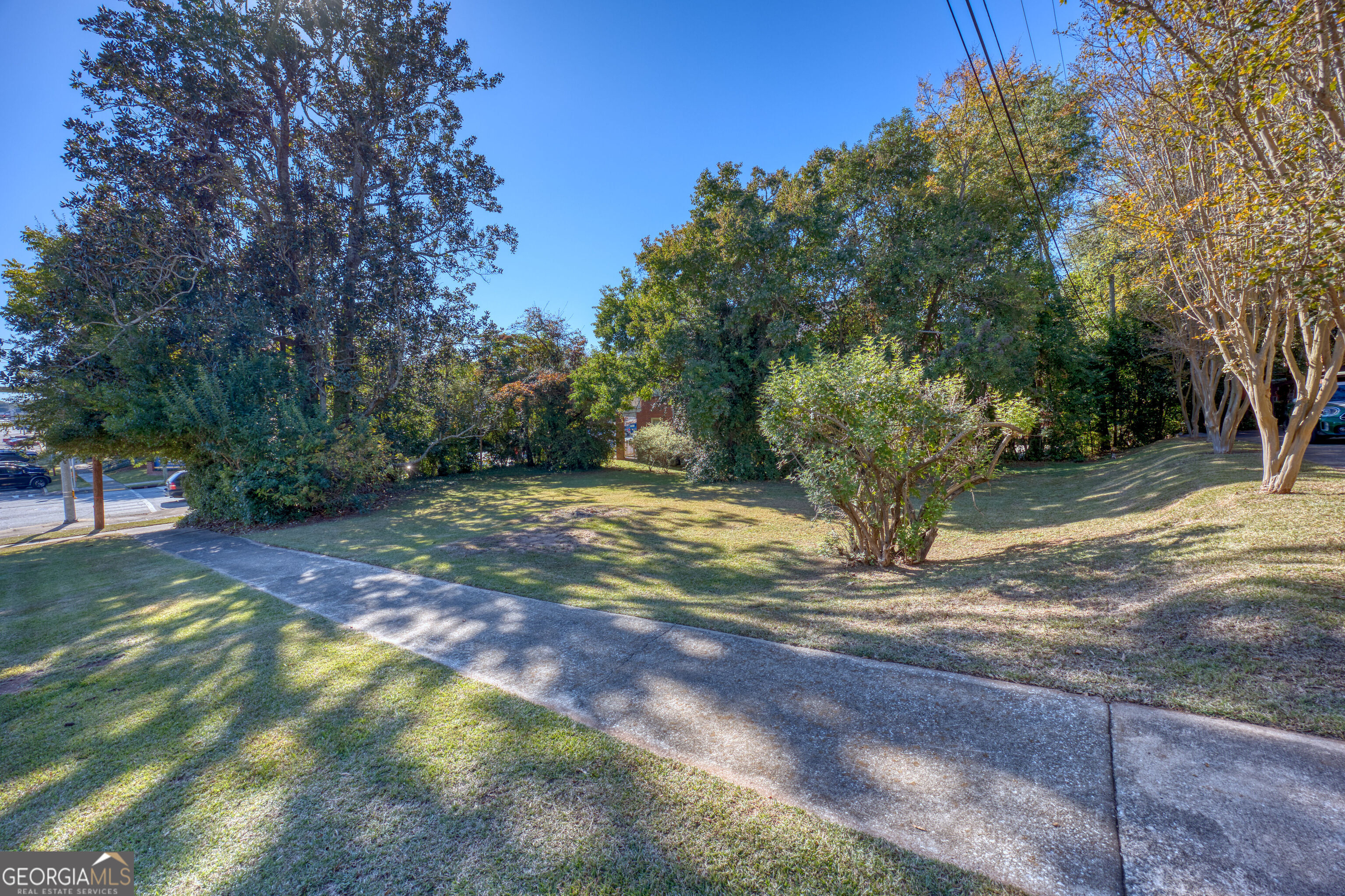 1007 4th Avenue West Point, GA 31833 - Photo 63 of 69 a view of a yard with plants and trees
