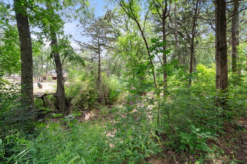 208 Waikiki Trail Tool, TX 75143 - Photo 15 of 17 Prime investment opportunity at Cedar Creek Lake!