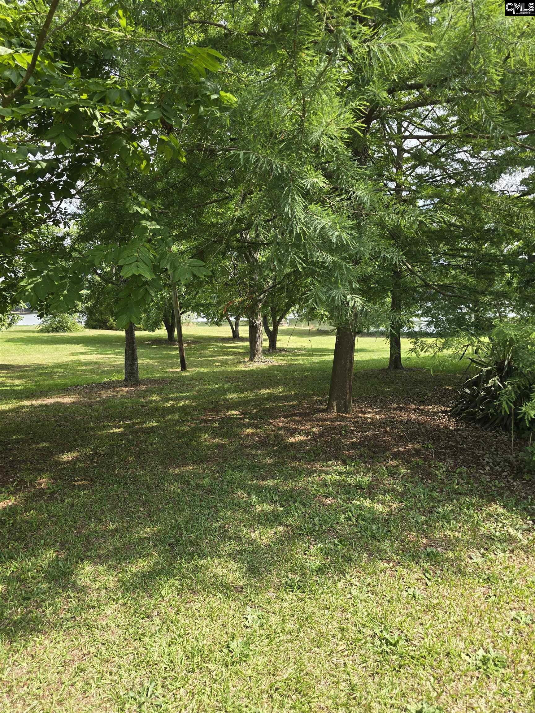 1193 Harvest Road Saluda, SC 29138 - Photo 4 of 9 a view of outdoor space with garden view