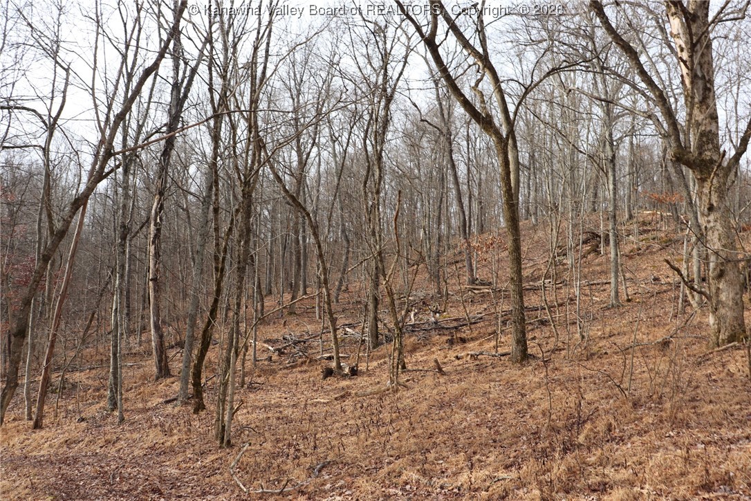 0 Route 12 Road Alum Creek, WV 25003 - Photo 27 of 44 Gallery Image 27