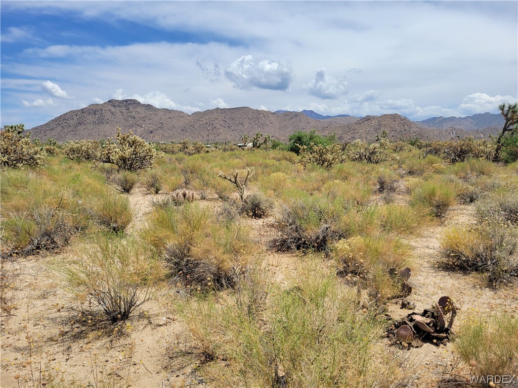 0 Dennis Road Yucca, AZ 86438 - Photo 1 of 10