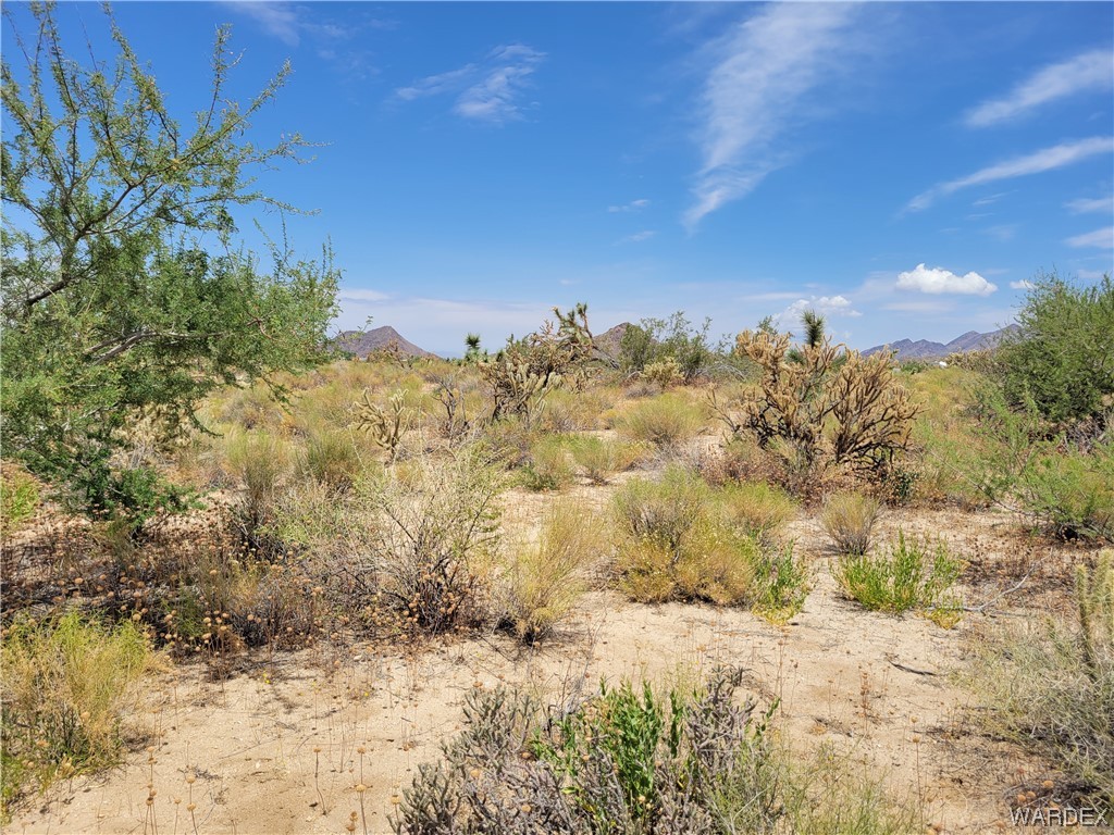 0 Dennis Road Yucca, AZ 86438 - Photo 6 of 10
