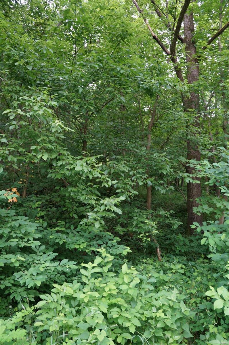 1207 West Panther Creek Road Nebo, IL 62355 - Photo 22 of 62 Gallery Image 22