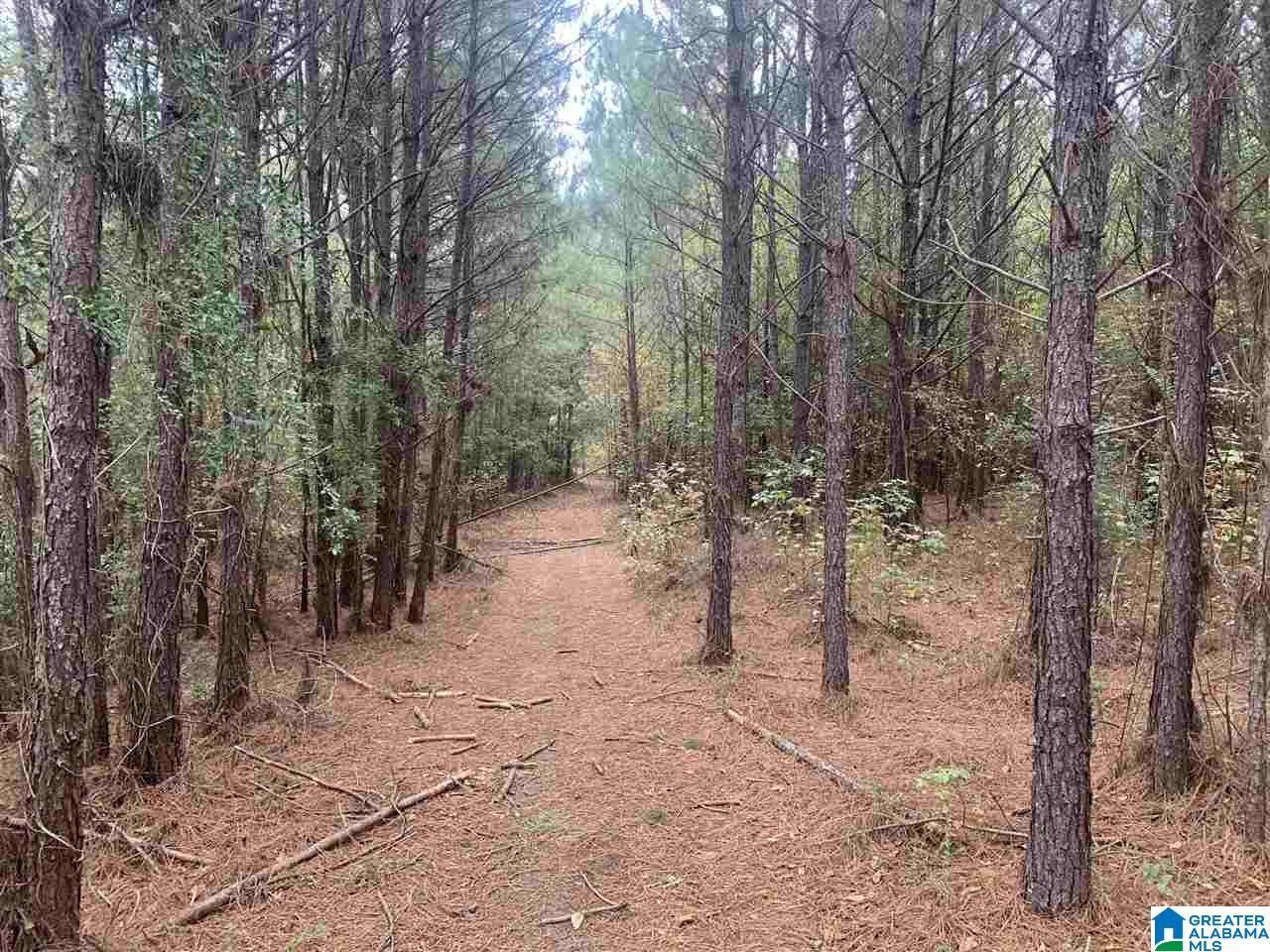 0 Homestead Drive, Unit 1 Springville, AL 35146 - Photo 1 of 32