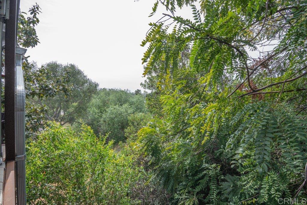 914 North Main Avenue Fallbrook, CA 92028 - Photo 50 of 62