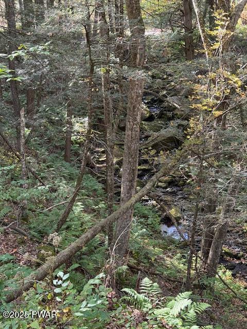 Fairmont Road Road Starrucca, PA 18462 - Photo 16 of 18