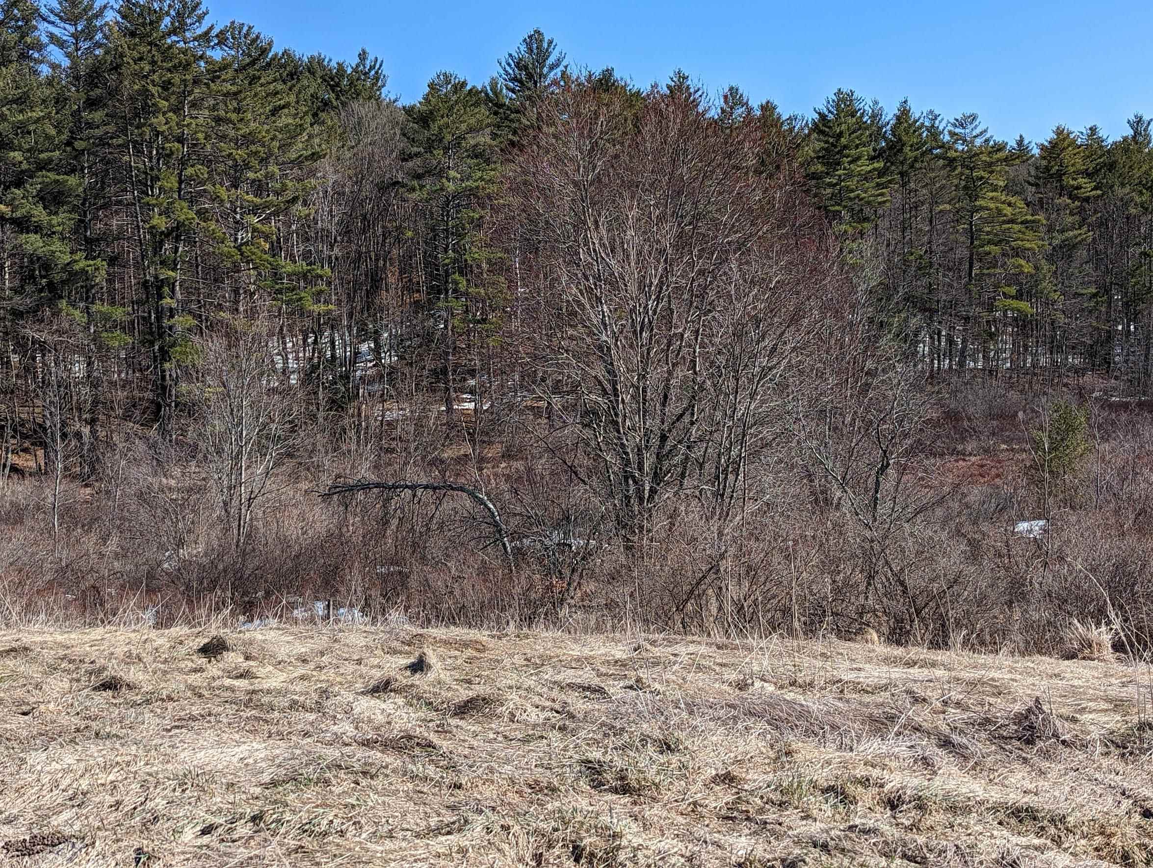 Bound Tree Road, Unit 21 Hopkinton, NH 03229 - Photo 11 of 19