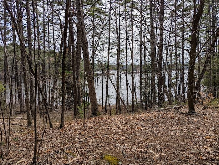 Bound Tree Road, Unit 21 Hopkinton, NH 03229 - Photo 14 of 19