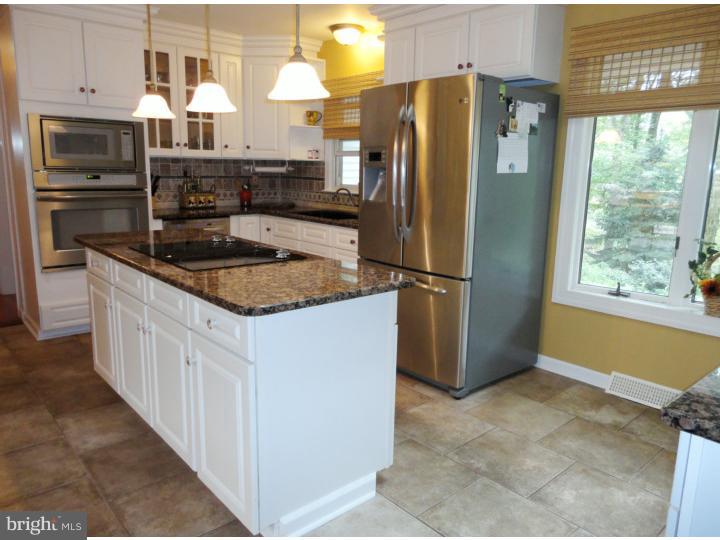 1001 Mt Eyre Road Washington Crossing, PA 18977 - Photo 9 of 25 Kitchen