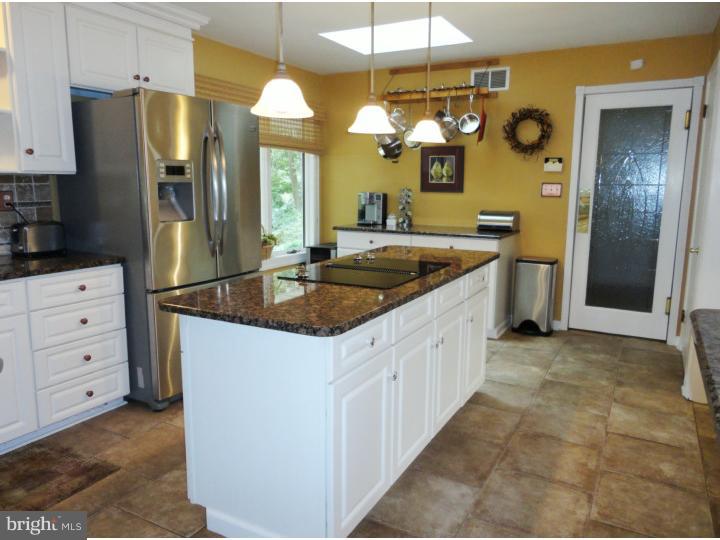 1001 Mt Eyre Road Washington Crossing, PA 18977 - Photo 10 of 25 Kitchen