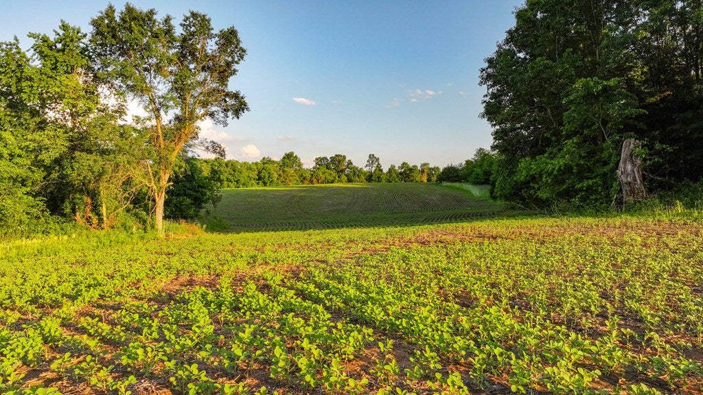 D218 County Road Armstrong, MO 65230 - Photo 16 of 73 Gallery Image 16
