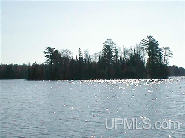 Tbd West Paint Lake Road, Unit J Iron River, MI 49935 - Photo 15 of 17