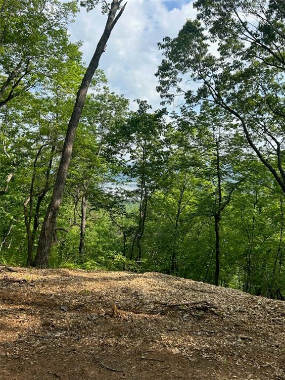 324 Adair Drive Ranger, GA 30734 - Photo 1 of 11 a wooden bench with view of trees