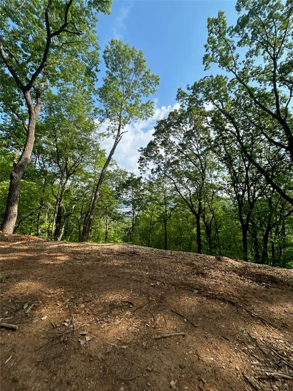 324 Adair Drive Ranger, GA 30734 - Photo 6 of 11 a view of a yard with a tree