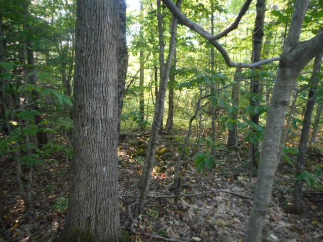 30 Seboeis Road Howland, ME 04448 - Photo 26 of 30 Photo