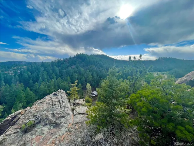 a backyard of a house with yard and lake view
