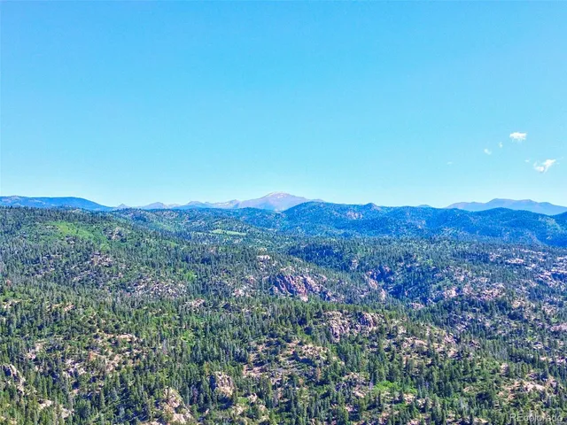 a view of a lush green forest with a mountain